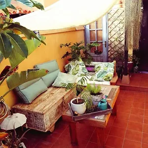 https://vivienda-vacacional-vaiana.tenerifehoteles.net